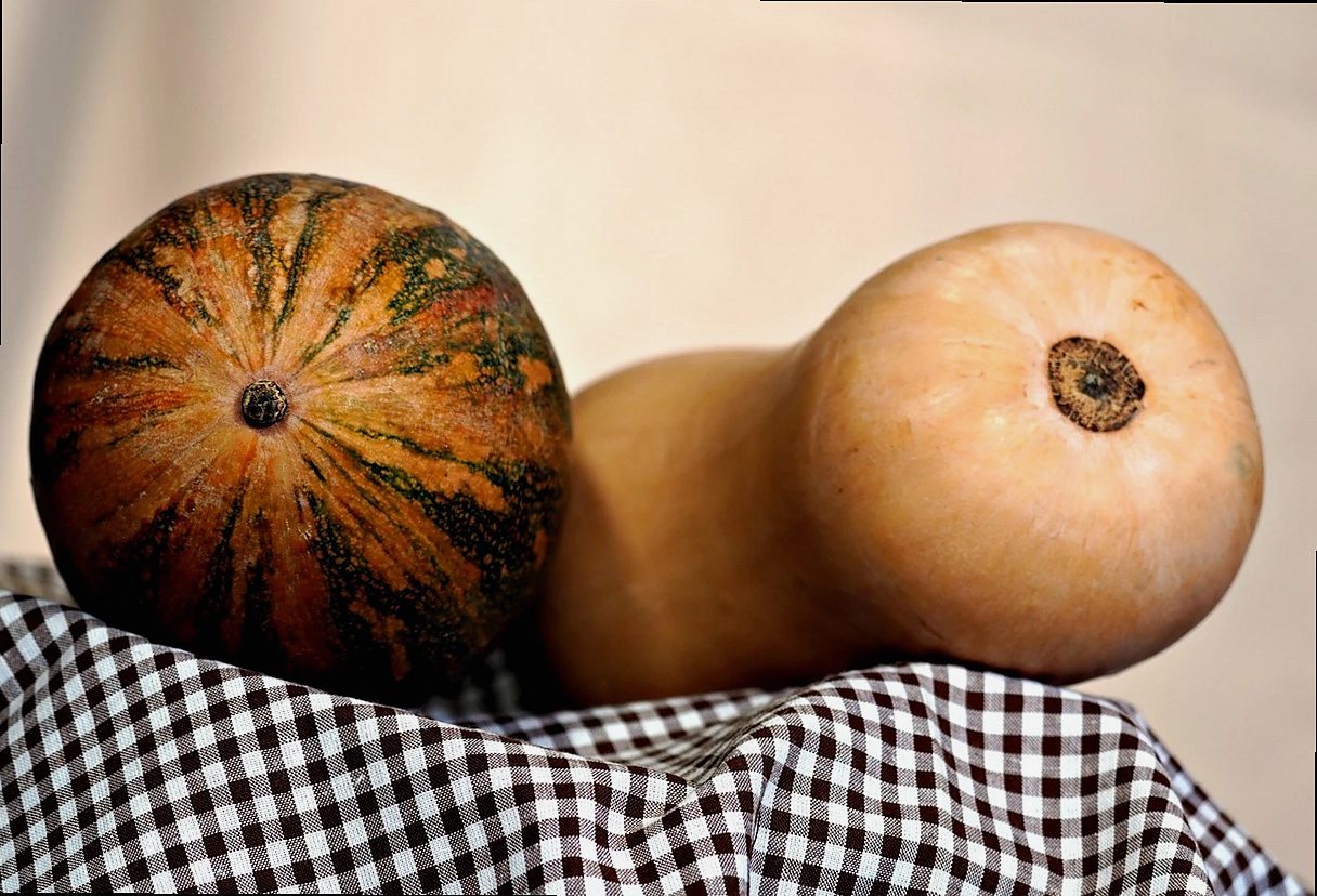 kabocha, calabaza honey nut, verduras, calabaza, comida, productos frescos, saludable, orgánico